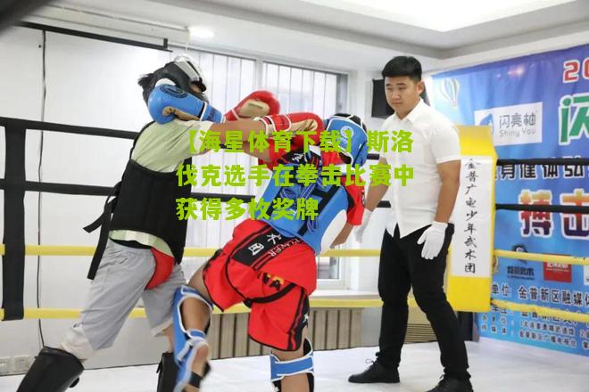 斯洛伐克选手在拳击比赛中获得多枚奖牌