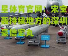 宋宝能怒轰持续地方的深圳东方豪信宏丸